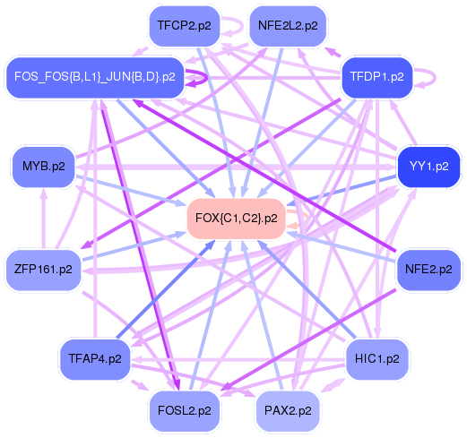 PNG image of the network